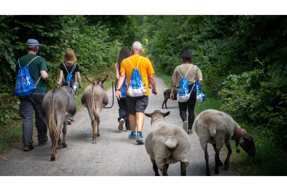 Teamtag mit Eselwanderung