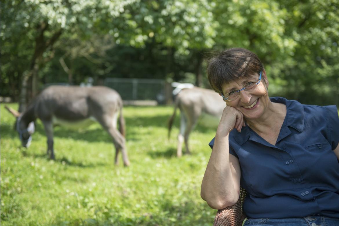 Seminare in Kooperation mit der VHS Datteln 2026