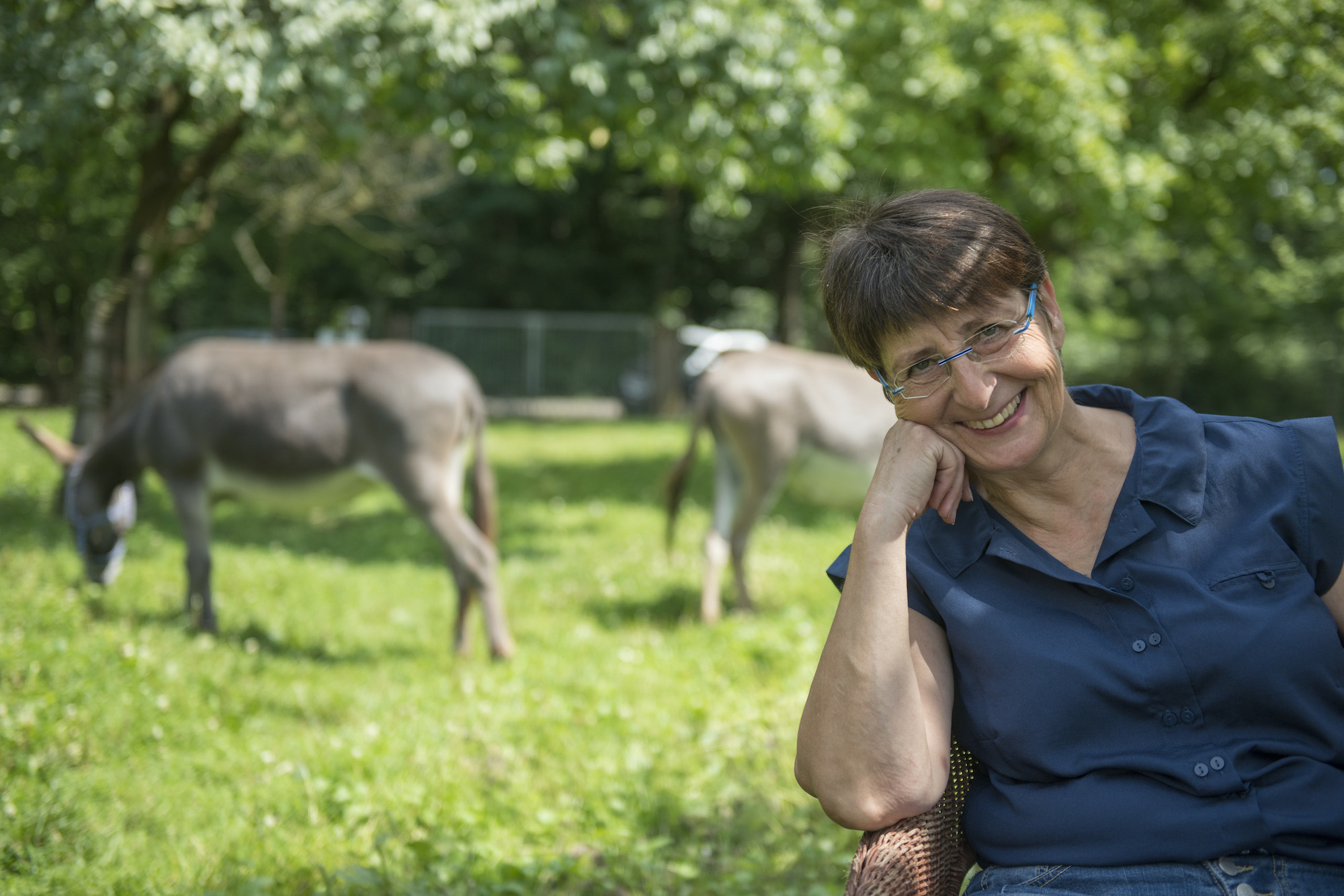 Seminare in Kooperation mit der VHS Datteln 2026